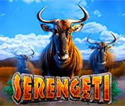 Serengeti